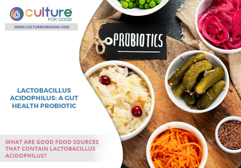 Lactobacillus Acidophilus A Gut Health Probiotic Culture For Good