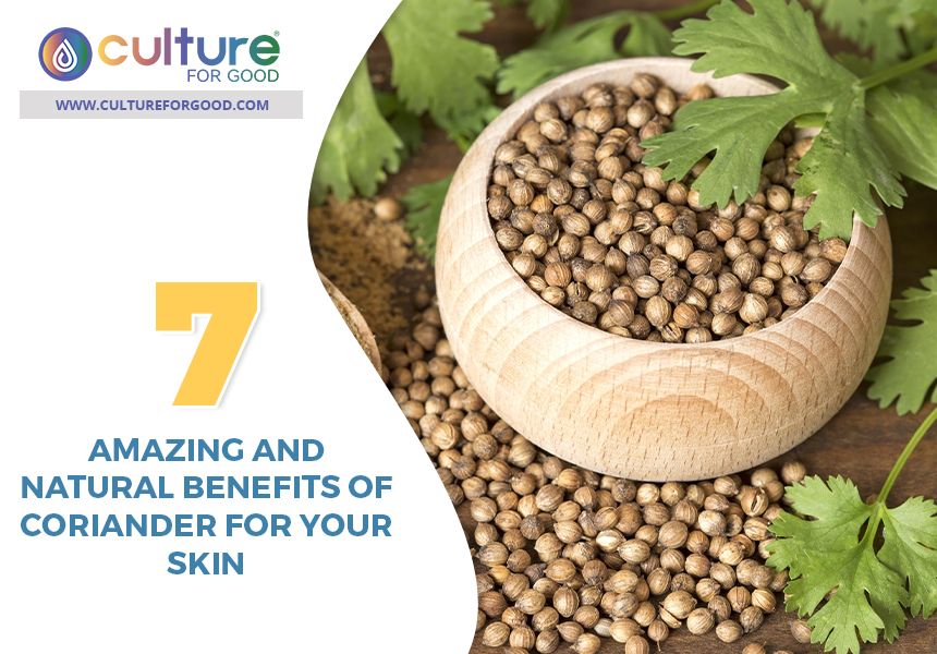 7 Amazing And Natural Benefits Of Coriander For Your Skin - Culture For ...